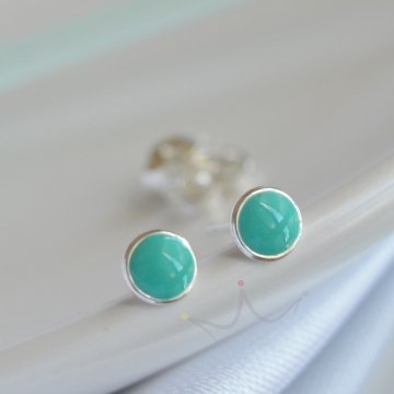 Brinco Circulo Resinado (Cores) - Prata