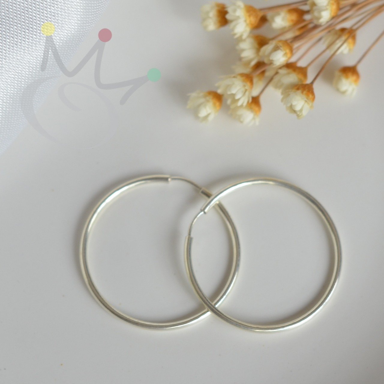 Brinco Argola Lisa (Tamanhos) - Prata Brinco Argola Lisa (Tamanhos) - Prata